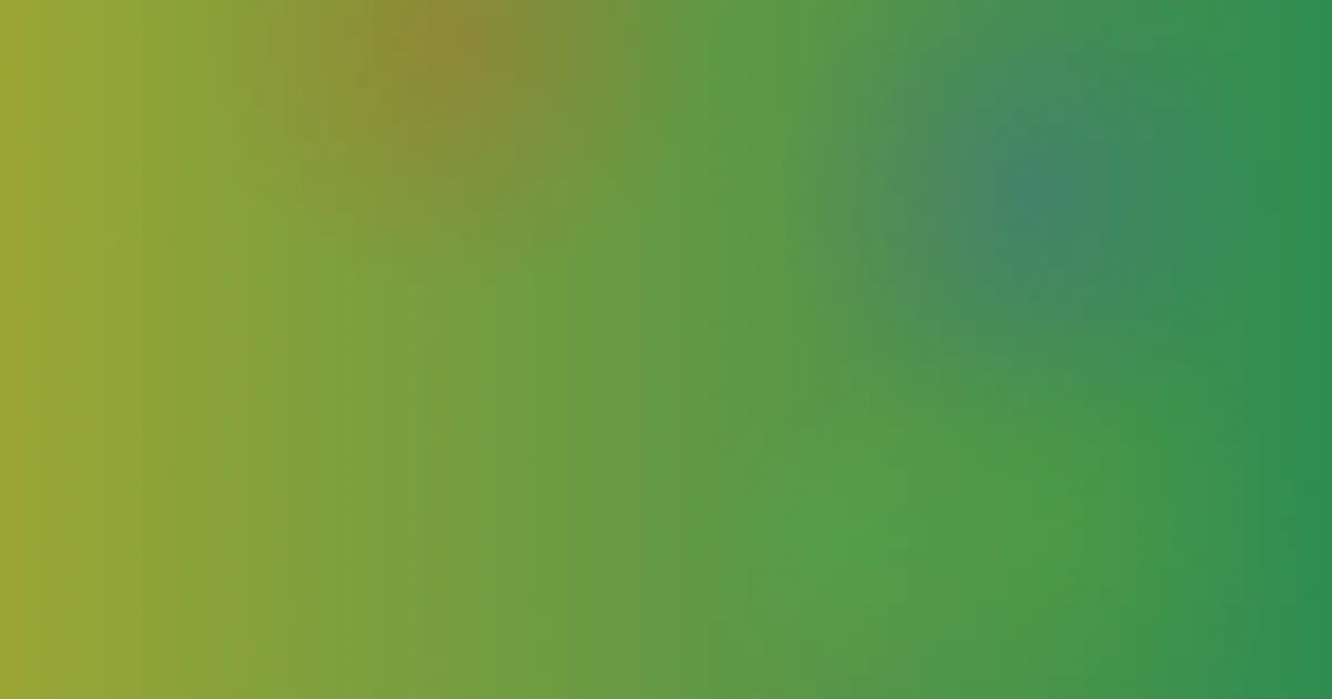 程仪秀婷是什么？先弄清